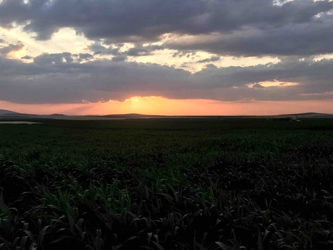 sunset