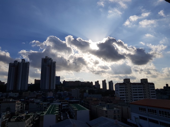 in the city