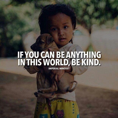 Lessons of life