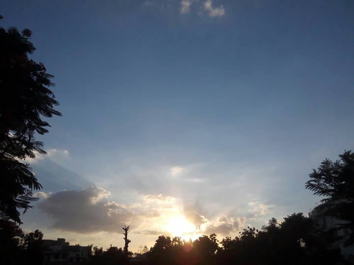 morning