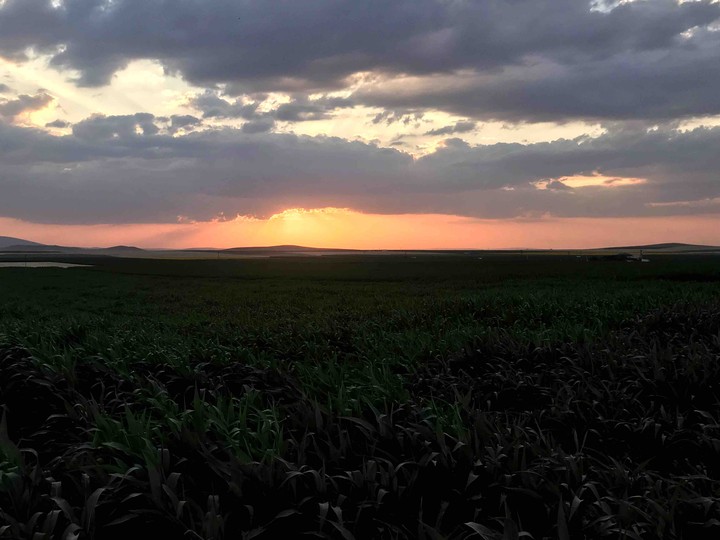 sunset
