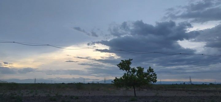 evening