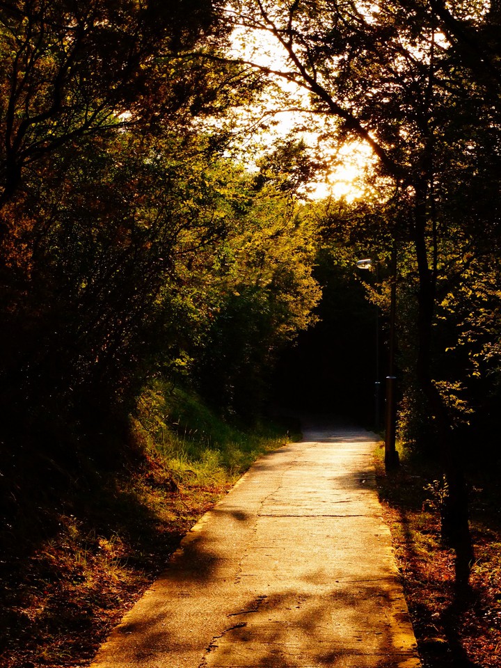 Sunroad
