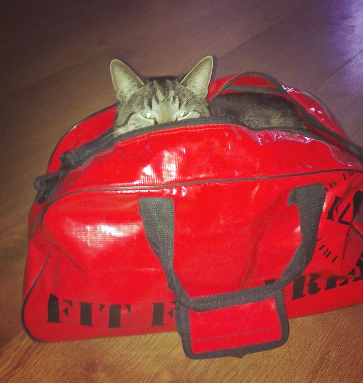 Mr. Fred in the bag..