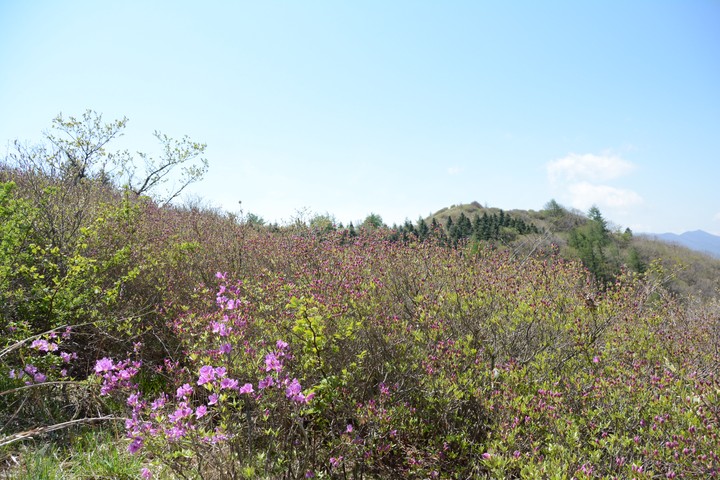 지리산이미지