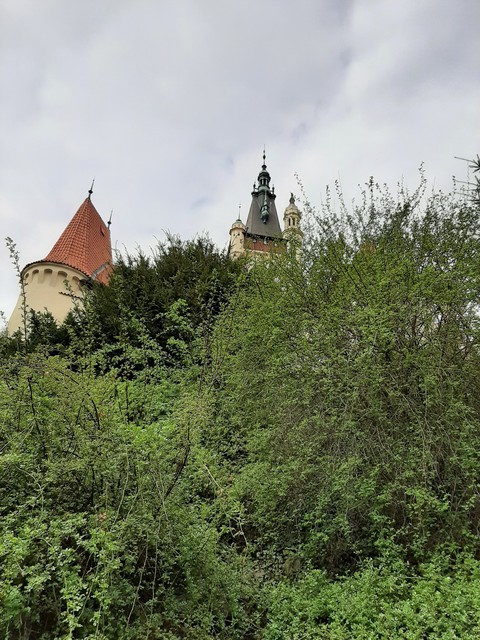 tapety château, steeple