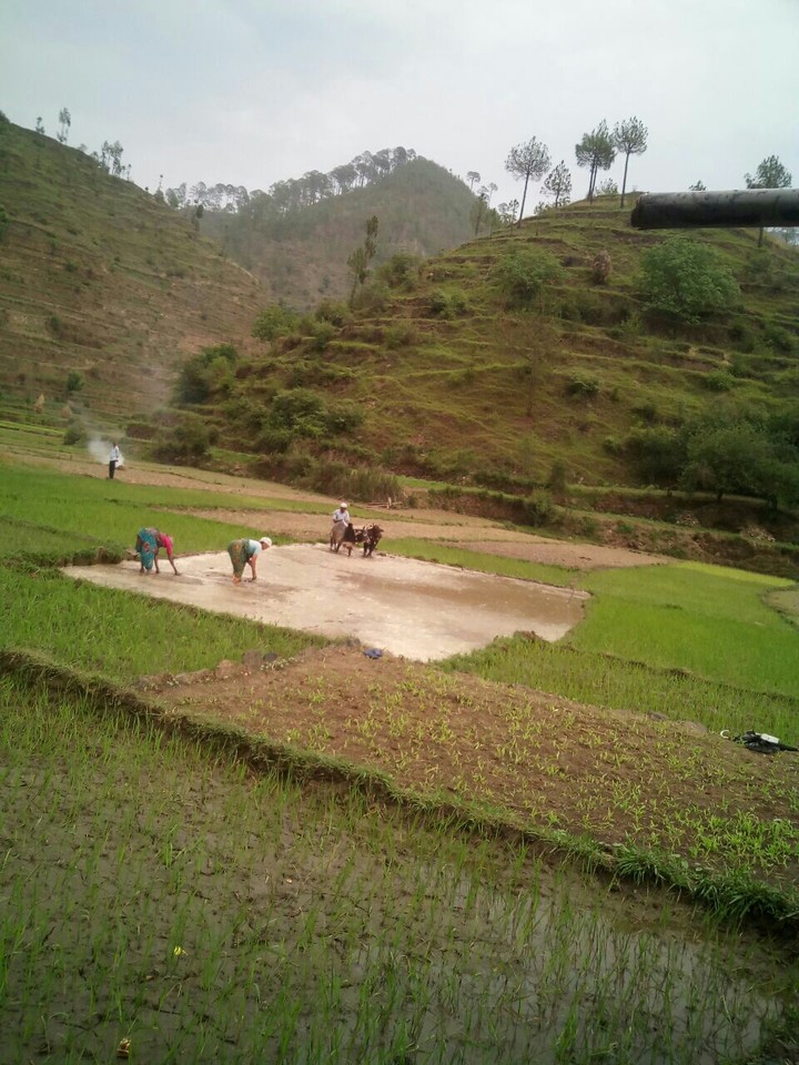 Ppl Makes  Nature.....with shine ol around