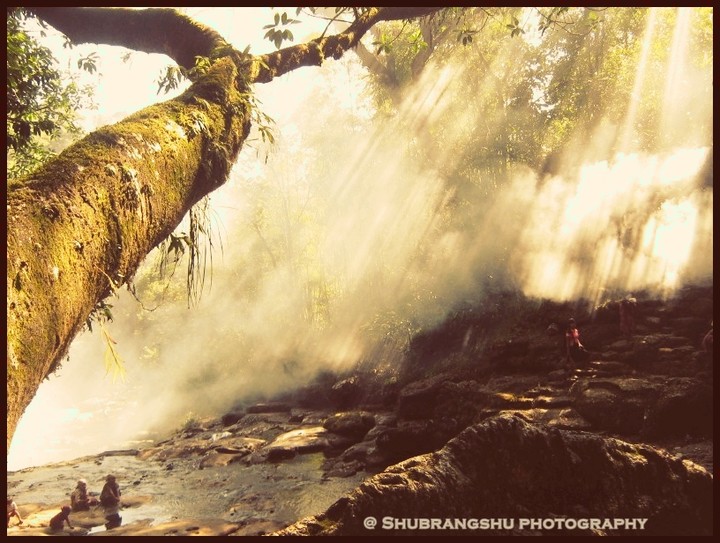 nature