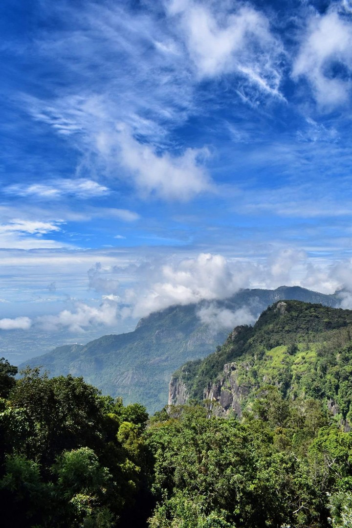 Mountain