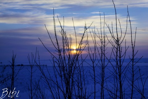 freezing sunset in the fields