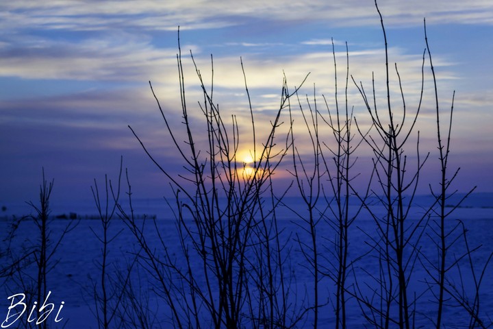 freezing sunset in the fields