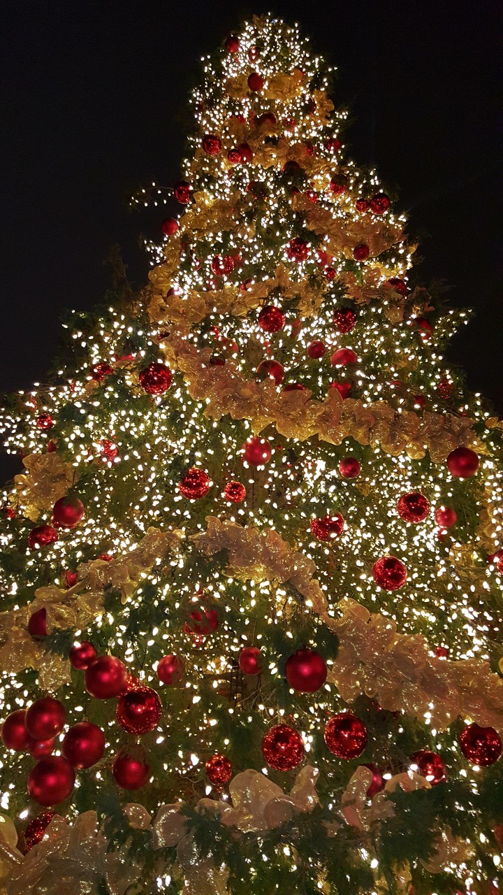 Christmas
