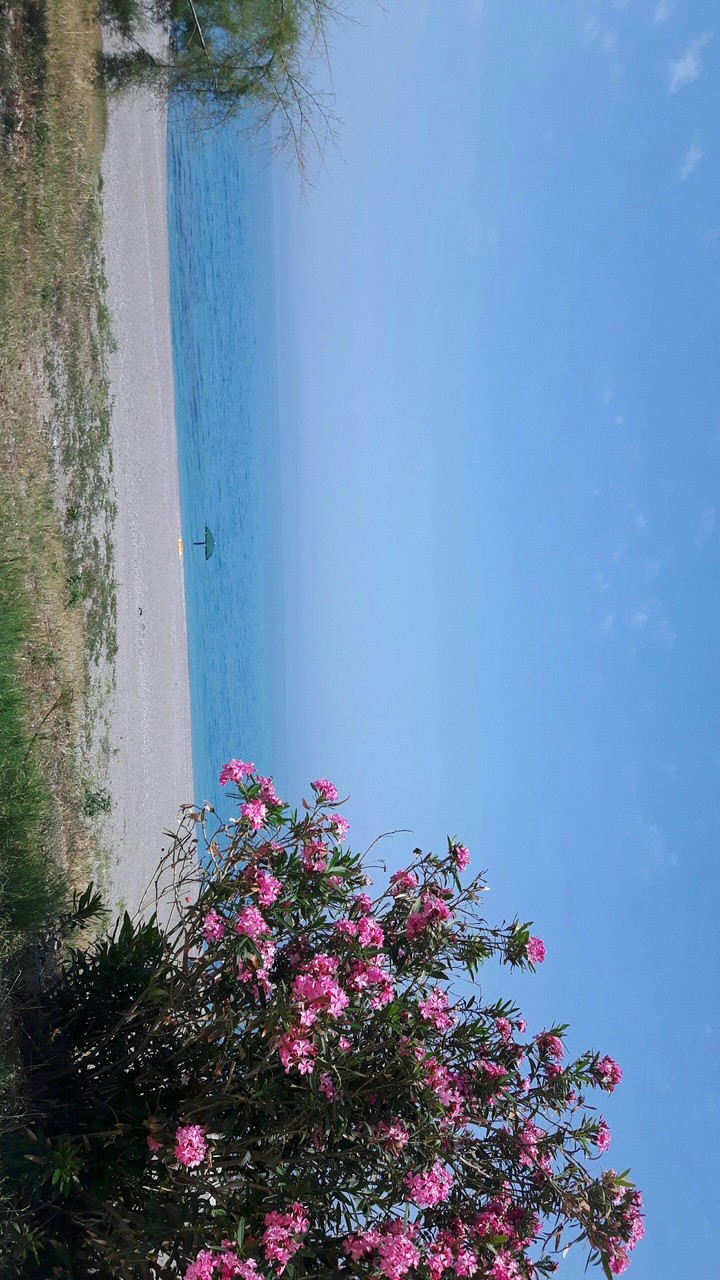 mare di Sicilia