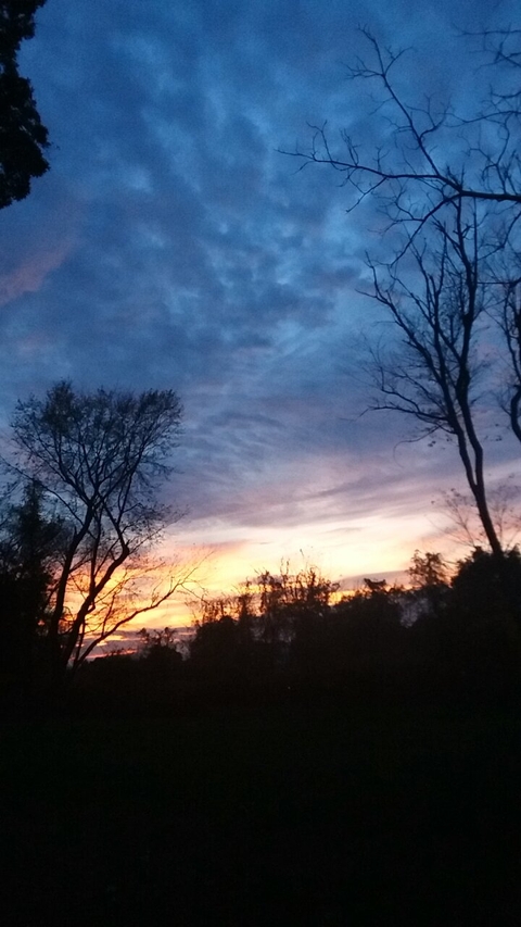 peaceful