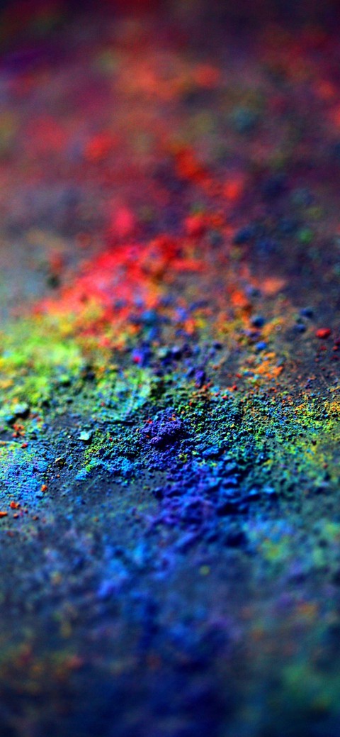 Holi
