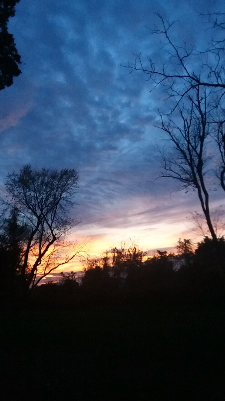 peaceful