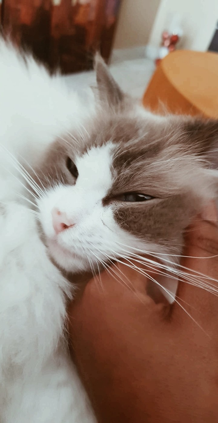 Zoé
