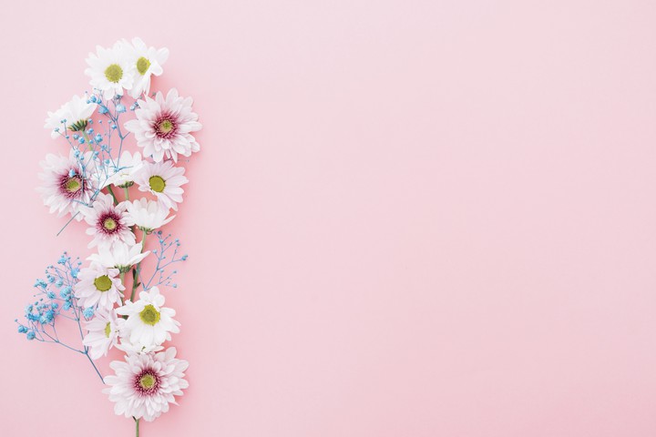 Chrysanthemums