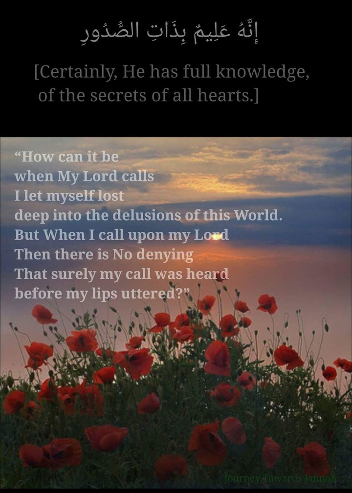#quran #hijab #niqab #islam #islamic #muslimcouples #muslim