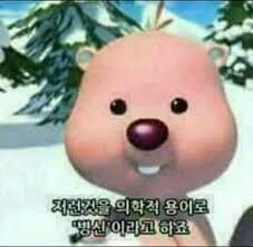 광기의 루피