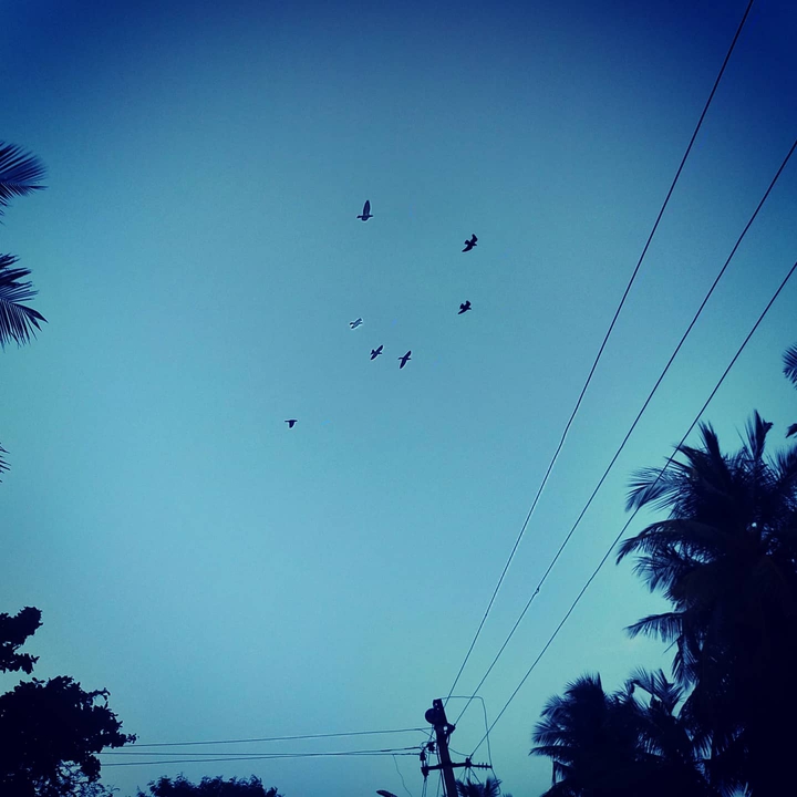 Nature