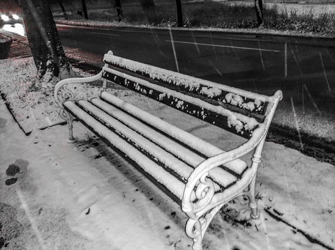 Winter wonderland