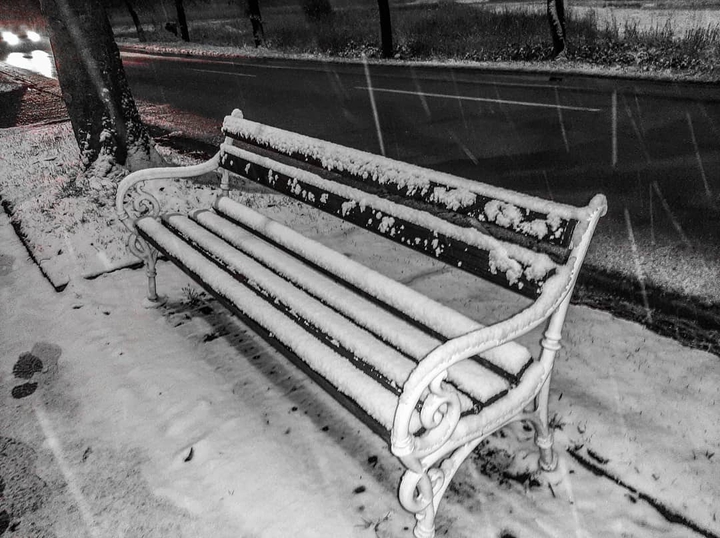 Winter wonderland
