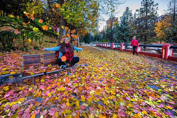 Istanbul - Turkey
