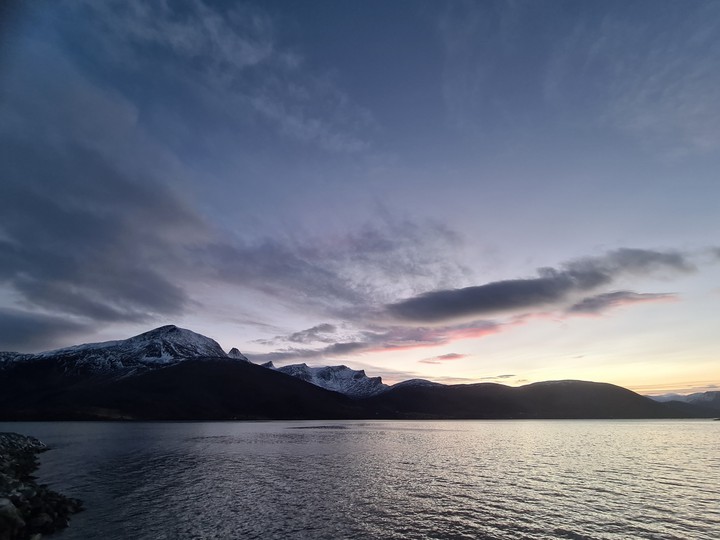 Arctic