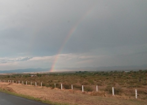 Rainbow