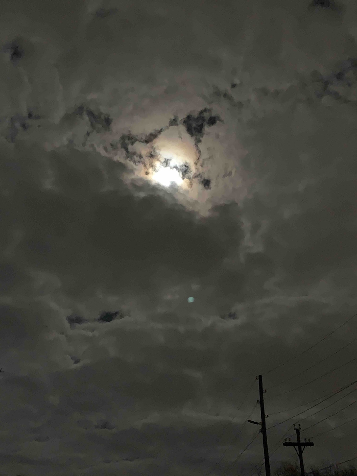 night