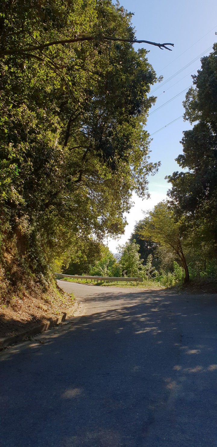 ciapino