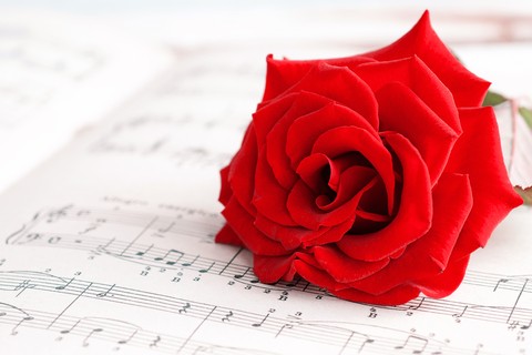 Rose And Music