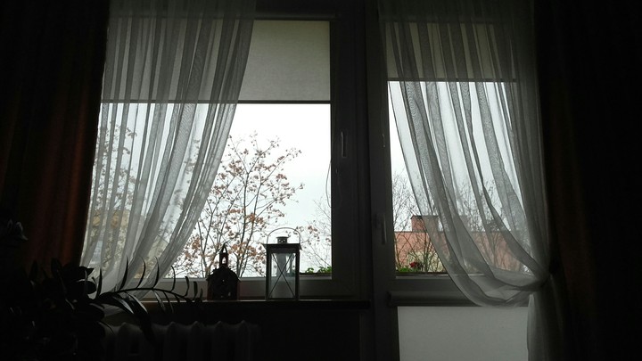 window