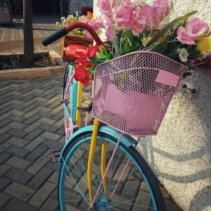 Cute bicycle