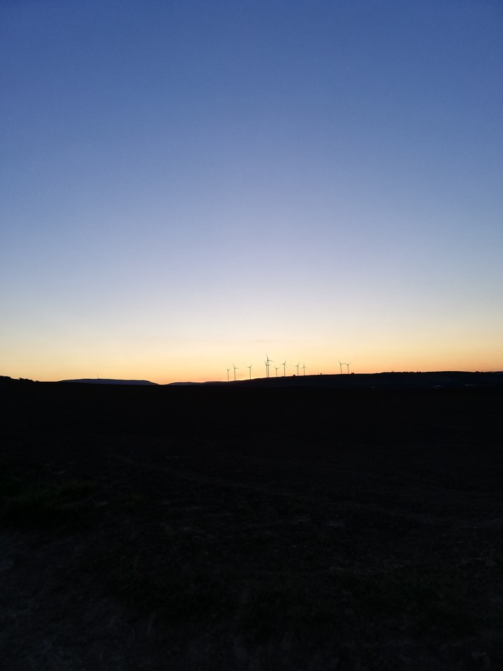nature at the evening
