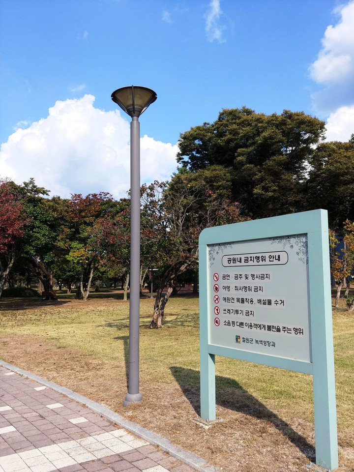 Park scenery