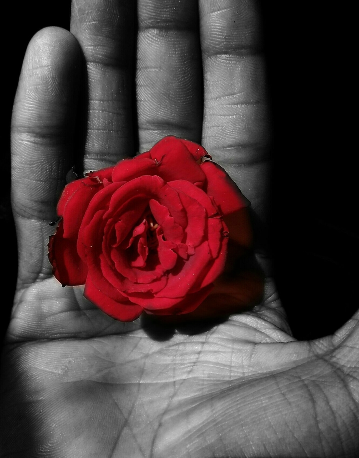 love in hand
