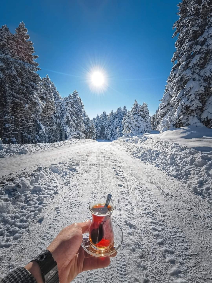 nature snow landscape