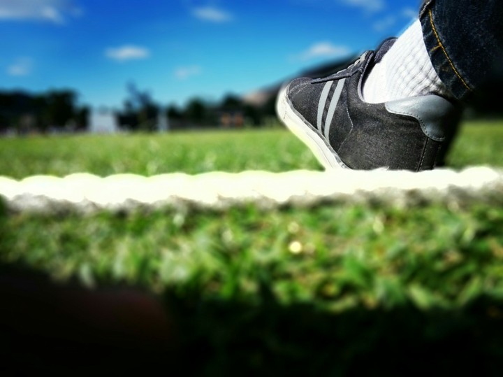 Photographed by Raveesha.S