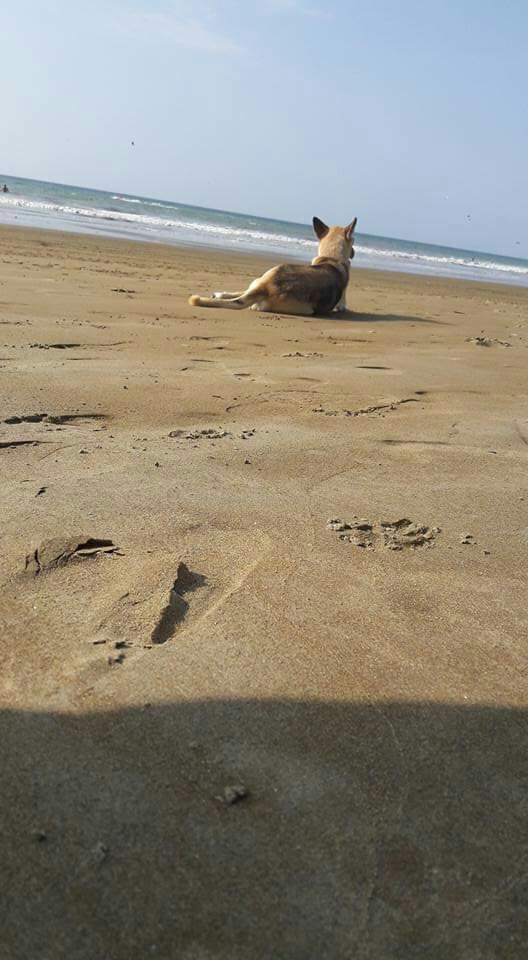 Disfrutando