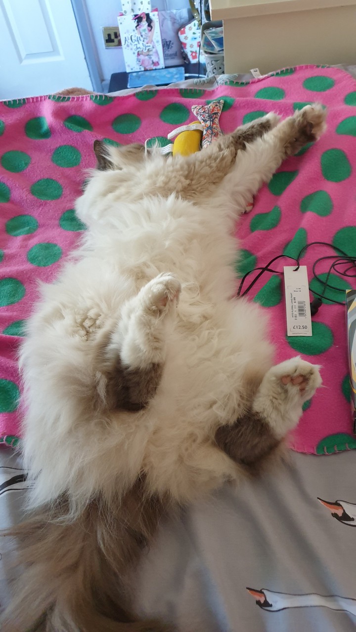 nap time