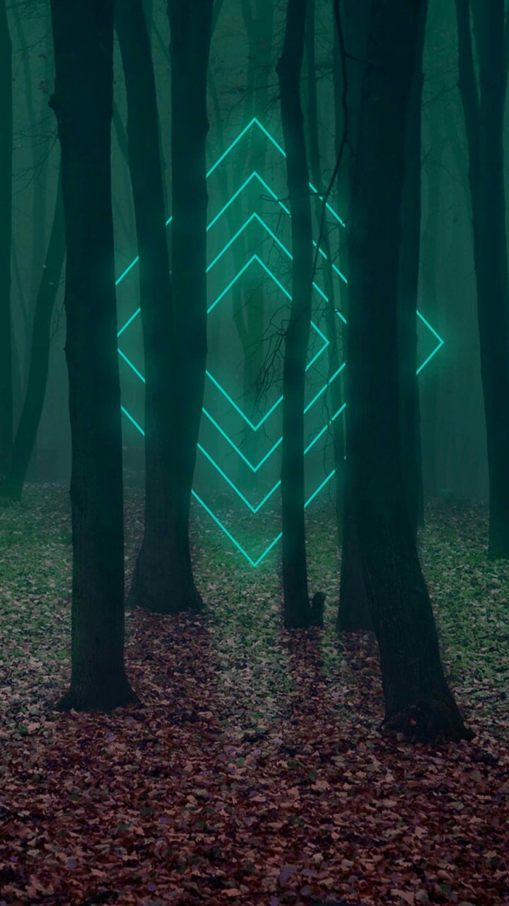 Fondos de pantalla HD