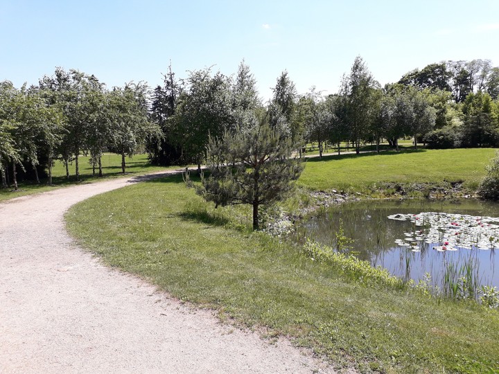 Pond