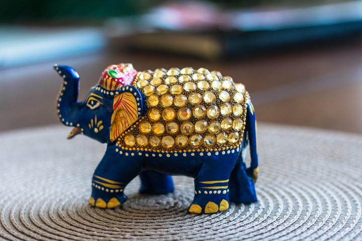 Elephant