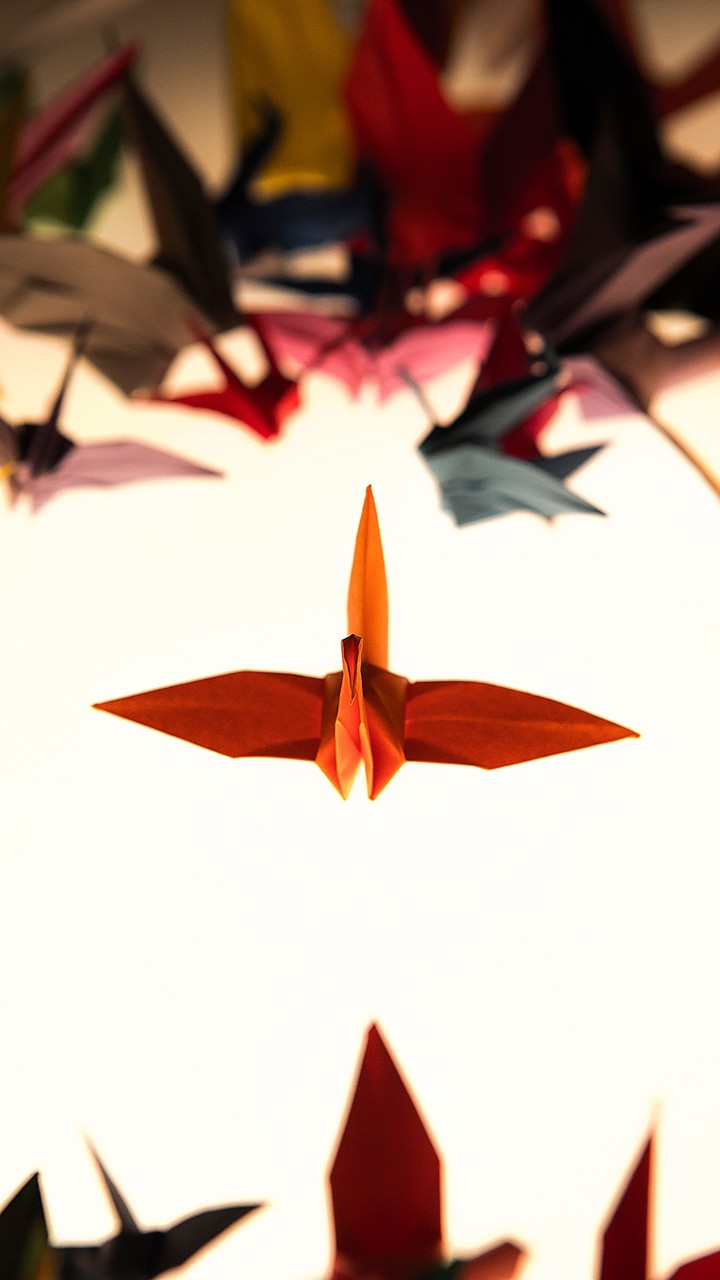 Like a bird