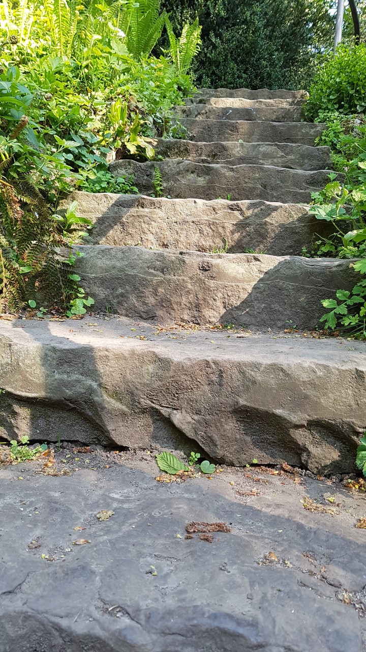 the stairs