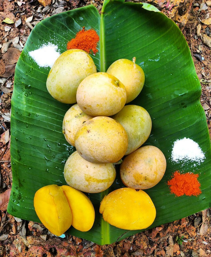 Mango