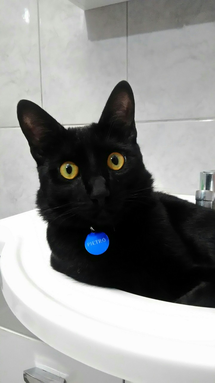 Pietro