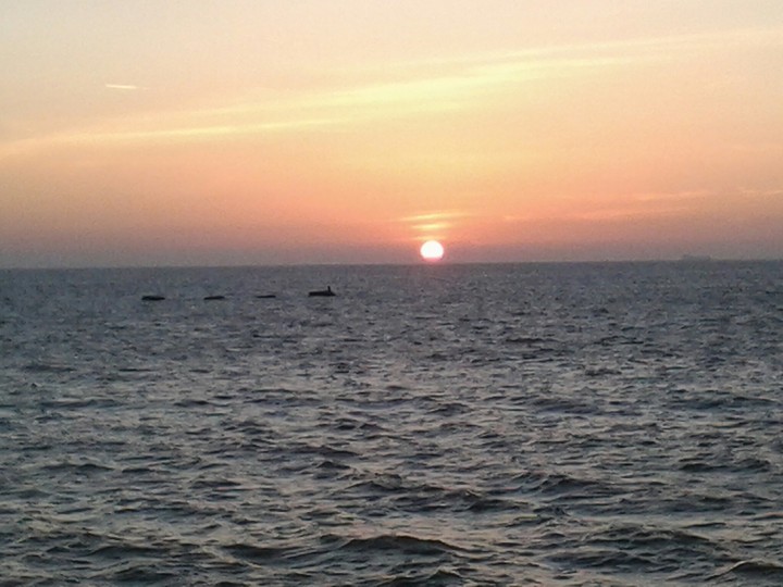 sea
